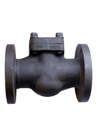 Carbon Steel Check Valves Manufacturer in India