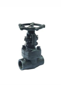 Carbon Steel Gate Valves Manufacturer in India