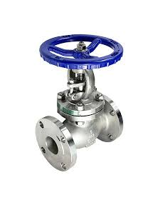 Stainless Steel Globe Valves Manufacturer in India